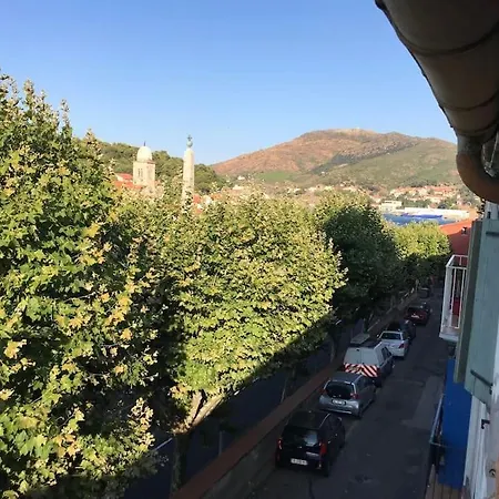 Studio Bon Dia/balcon/proche Criques Et Collioure Apartment Port Vendres